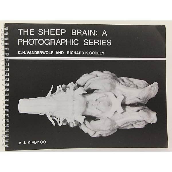 Pictorial History of Science Fiction Films: Rovin, Jeff